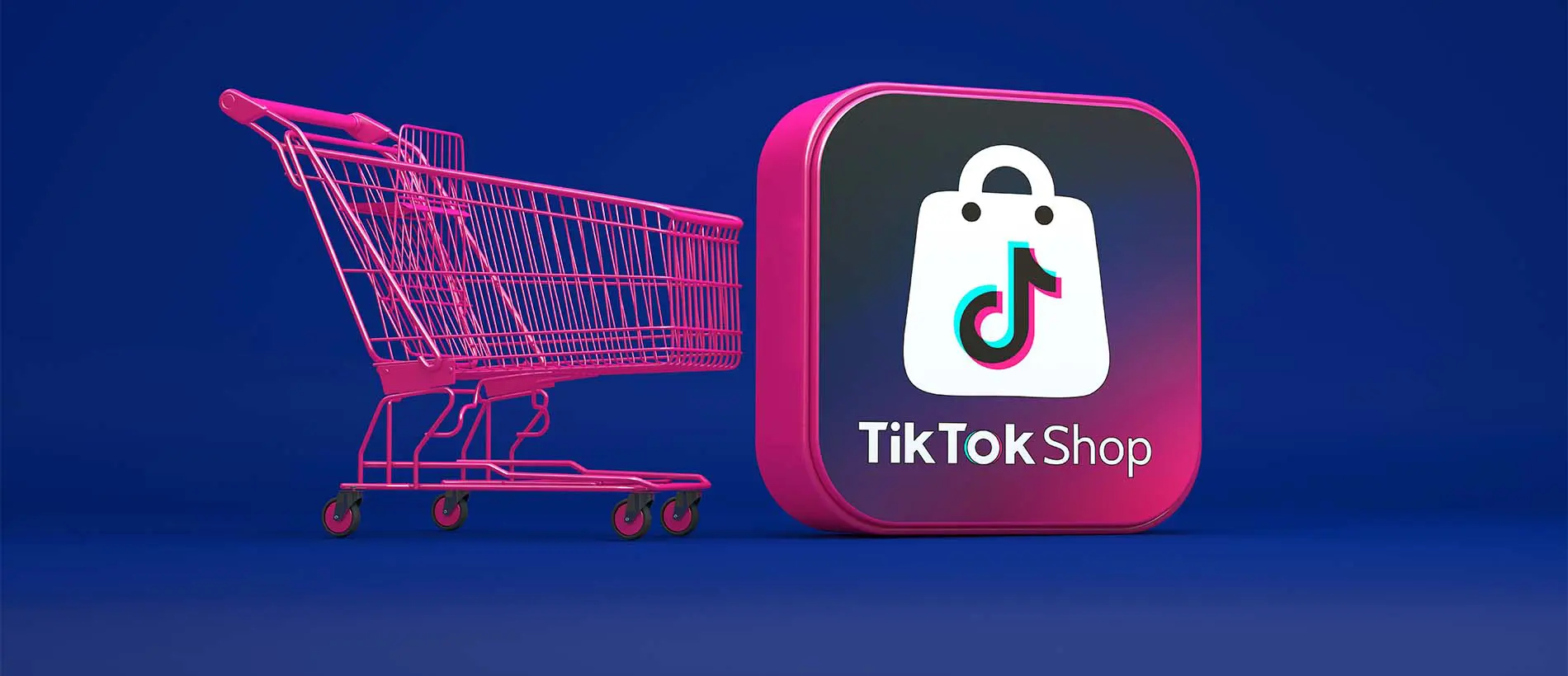 TikTok Shop E-Commerce